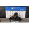 AMMORTIZZATORE ANT. SX. 053 RENAULT TRAFIC (09/06-04/10) G9UB6 8200728279