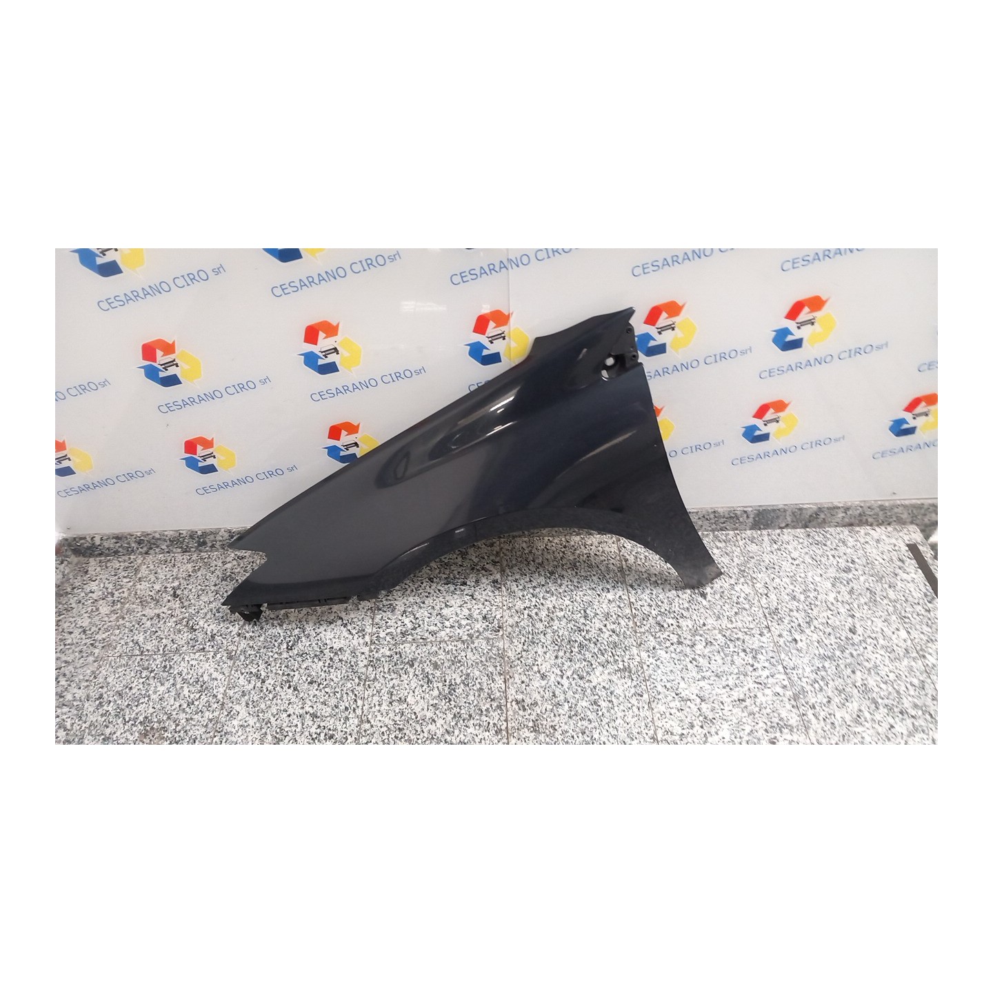 PARAFANGO ANT. SX. 040 RENAULT LAGUNA 3A SERIE (09/07-) M9RA8 631000032R