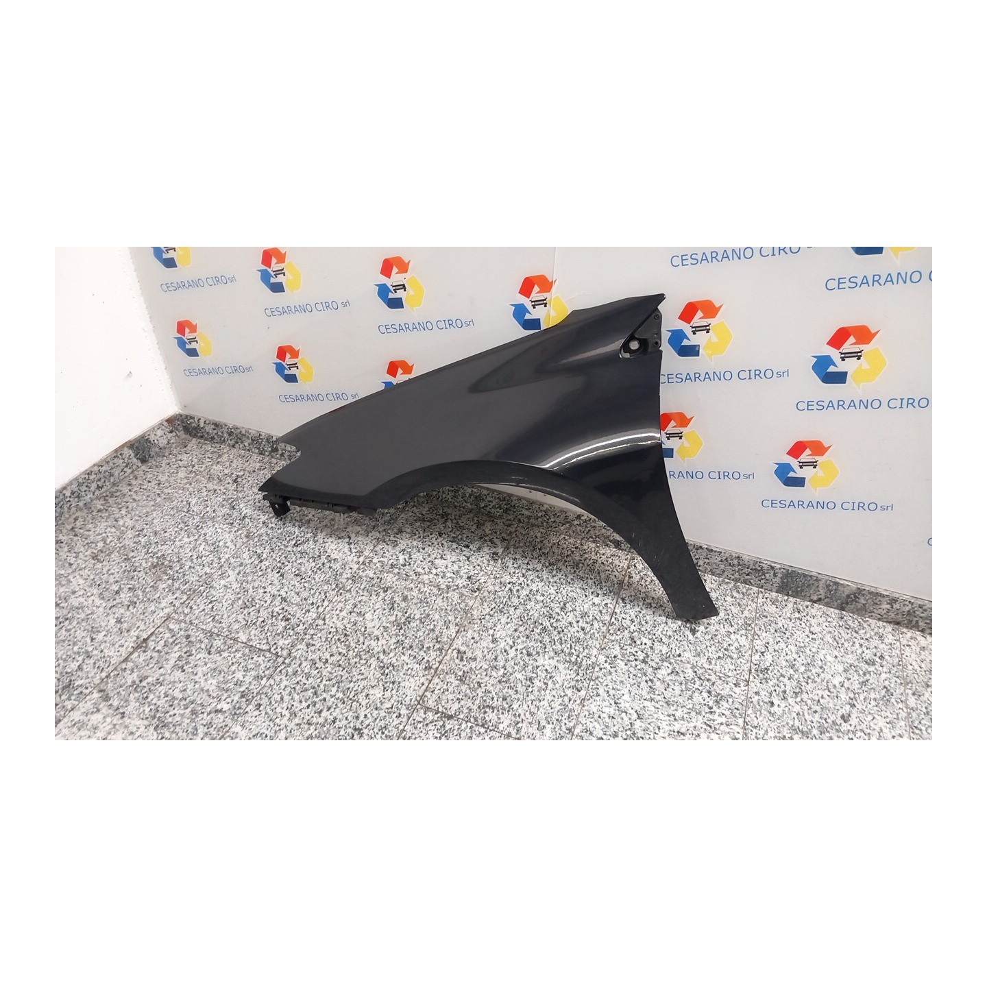 PARAFANGO ANT. SX. 040 RENAULT LAGUNA 3A SERIE (09/07-) M9RA8 631000032R