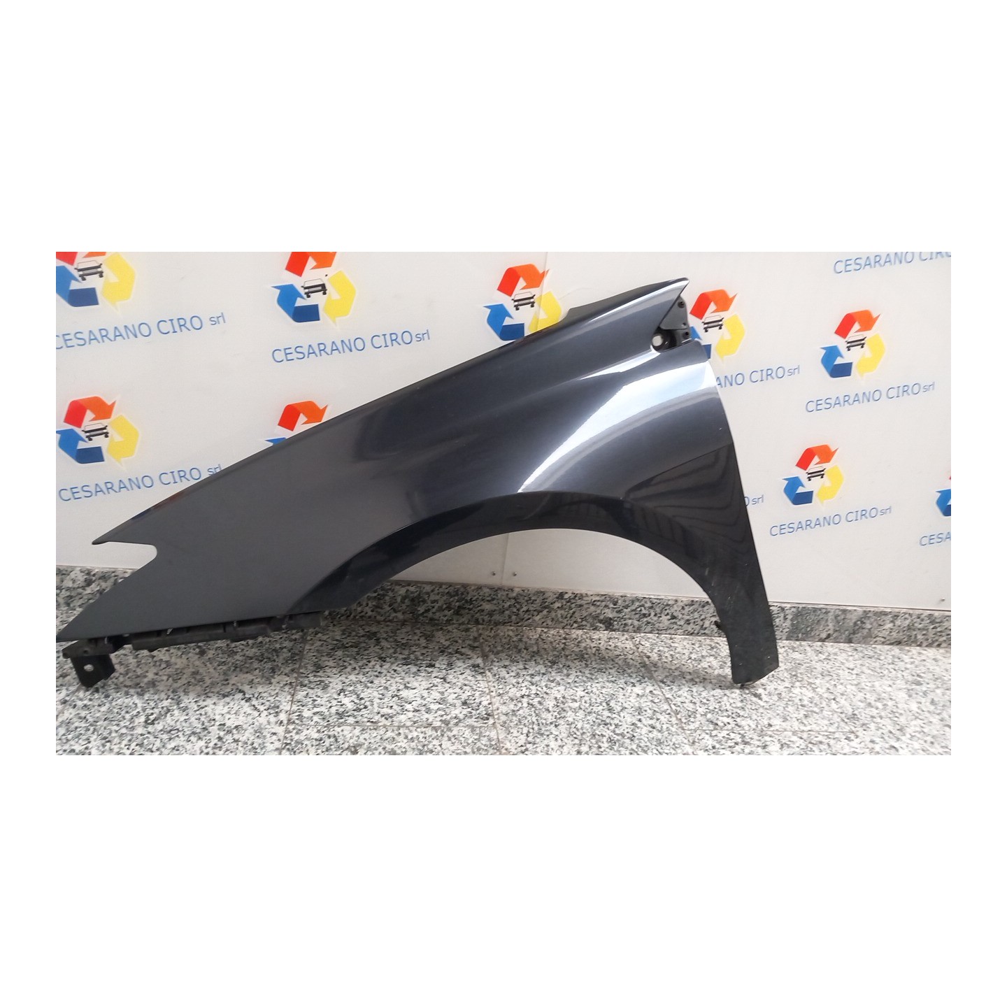 PARAFANGO ANT. SX. 040 RENAULT LAGUNA 3A SERIE (09/07-) M9RA8 631000032R