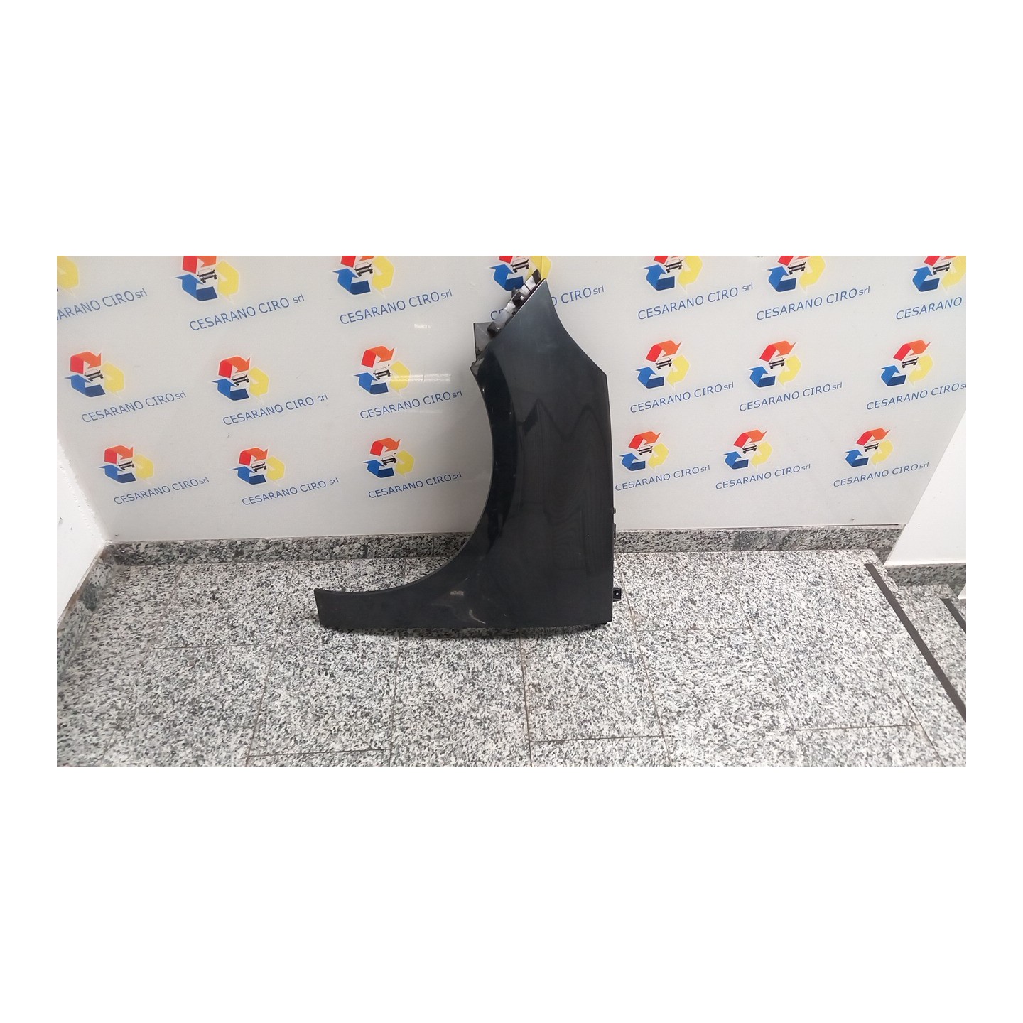 PARAFANGO ANT. SX. 007 RENAULT SCENIC 3A SERIE (04/09-10/13) F9QN8 631017581R
