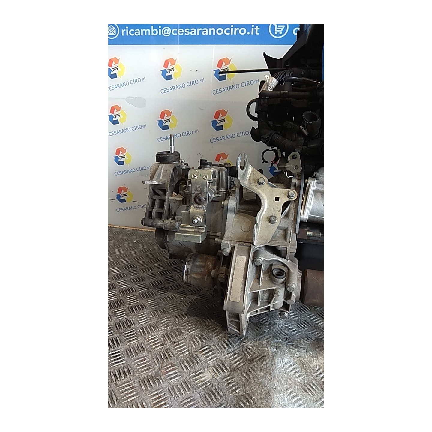 CAMBIO COMPL. 008 LANCIA YPSILON (TE) (09/06-12/08) 188A4000 55205237