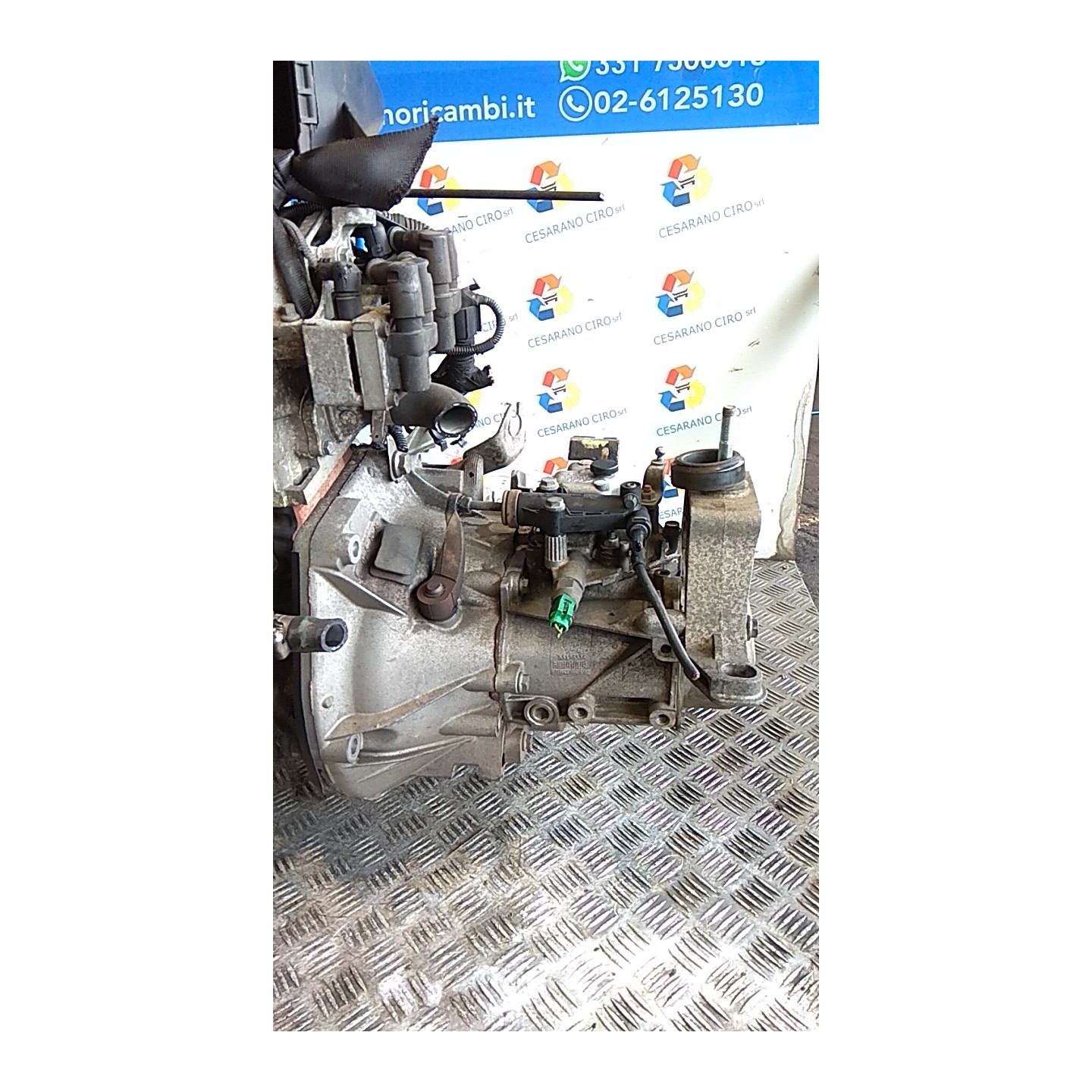 CAMBIO COMPL. 008 LANCIA YPSILON (TE) (09/06-12/08) 188A4000 55205237