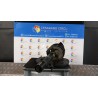 AMMORTIZZATORE ANT. SX. 069 MINI MINI (R50/R53) (07/01-07/06) W10B16A 31306759247
