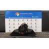 AMMORTIZZATORE ANT. DX. 079 LEXUS IS 1A SERIE (04/99-11/05) 1GFE 4851080005