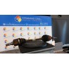 SEMIALBERO ANT. COMPL. SX. 066 FORD C-MAX (CB7) (09/10-05/15) M1DA 1857348