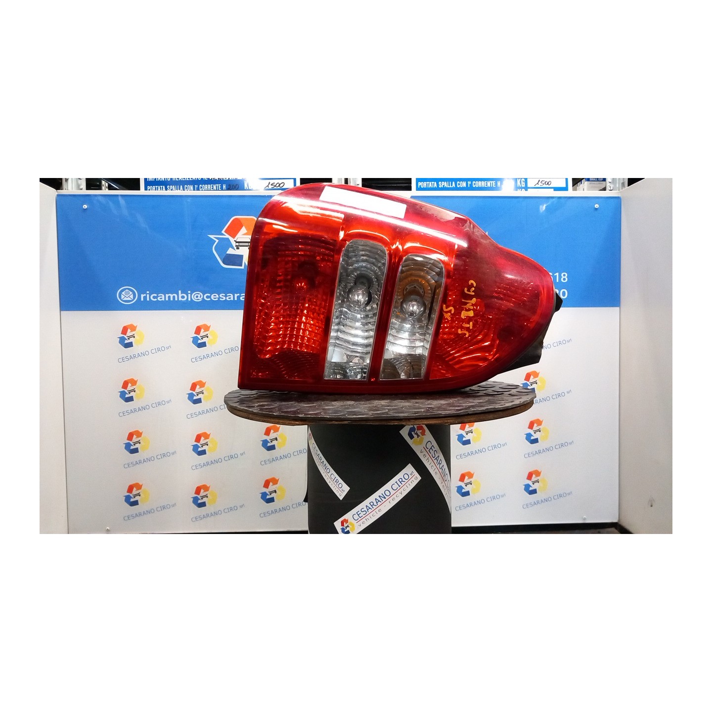 FANALE POST. SX. 029 HYUNDAI TERRACAN (12/01-12/07) J3 92401H1520
