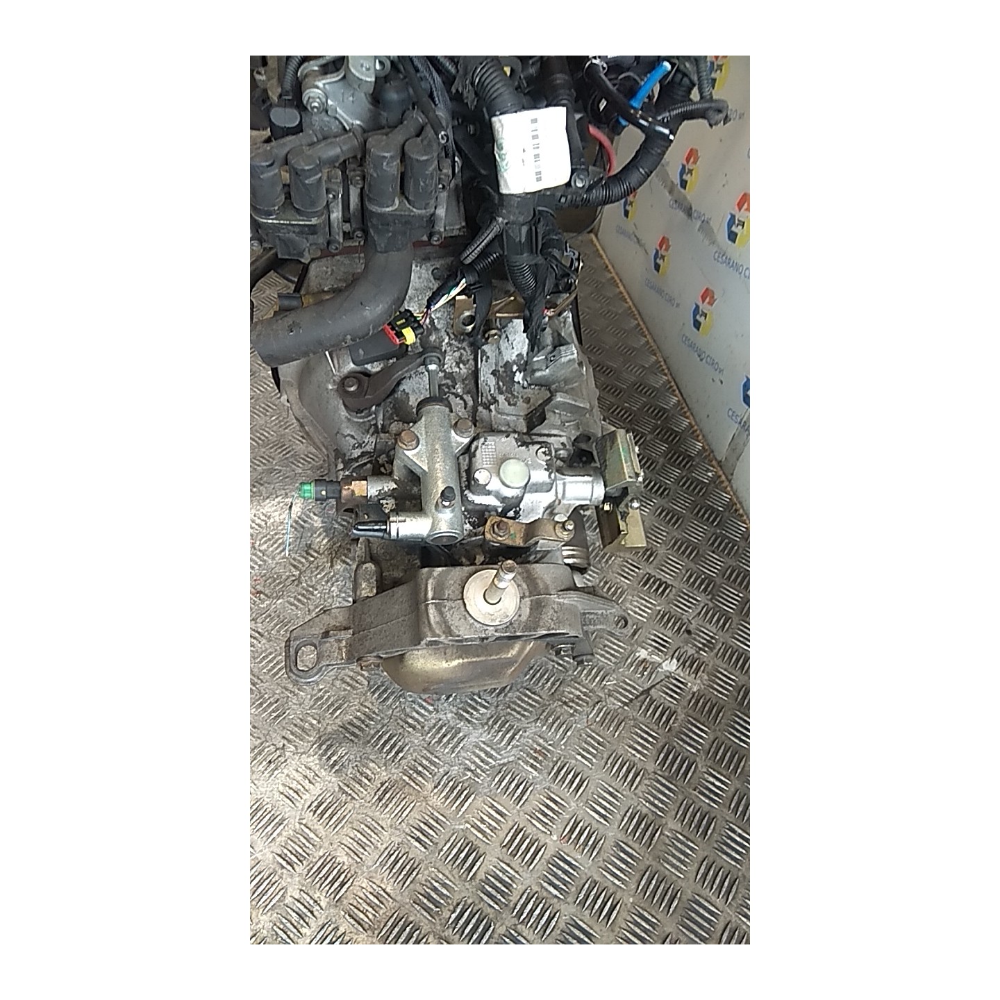CAMBIO COMPL. 042 LANCIA YPSILON (TE) (06/03-09/06) 188A4000 55205237
