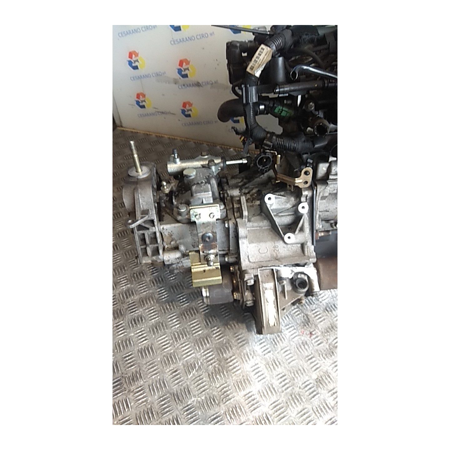CAMBIO COMPL. 042 LANCIA YPSILON (TE) (06/03-09/06) 188A4000 55205237