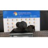 AMMORTIZZATORE ANT. SX. 067 RENAULT TWINGO 2A SERIE (06/07-02/12) D4FJ7 8200367898