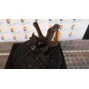 MONTANTE SOSP. ANT. SX. 031 DR DR1 (01/10-) SQR473F 720050020