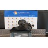 AMMORTIZZATORE ANT. DX. 078 OPEL ASTRA (P10) (10/09-06/18) A17DTR 13412723
