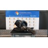 AMMORTIZZATORE ANT. C/MOLLA CLASSE DA A A I DX. 121 FORD FOCUS (CB8) (02/11-11/15-) T1DB 1709762