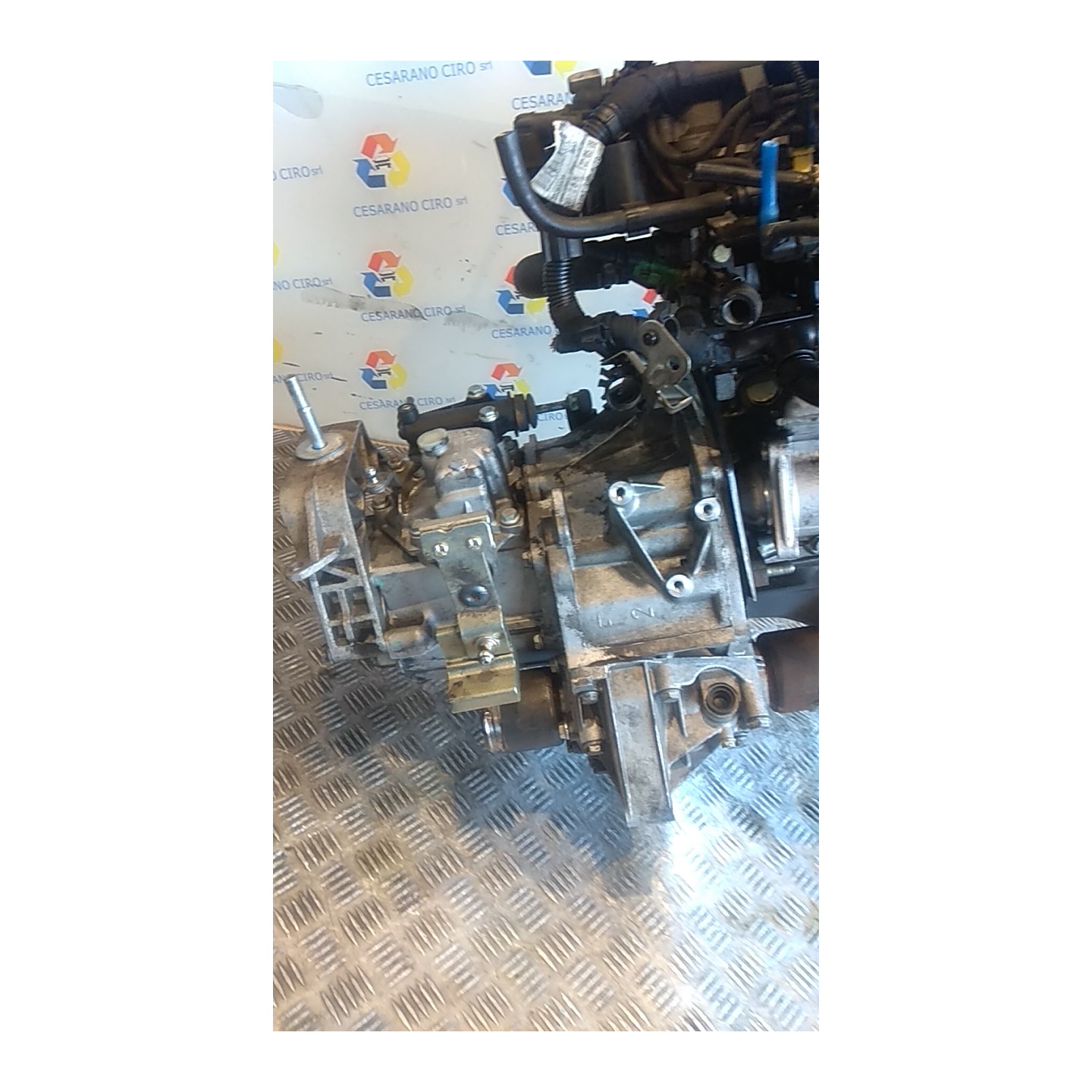 CAMBIO COMPL. 141 LANCIA YPSILON (TE) (09/06-12/08) 188A4000 55205237