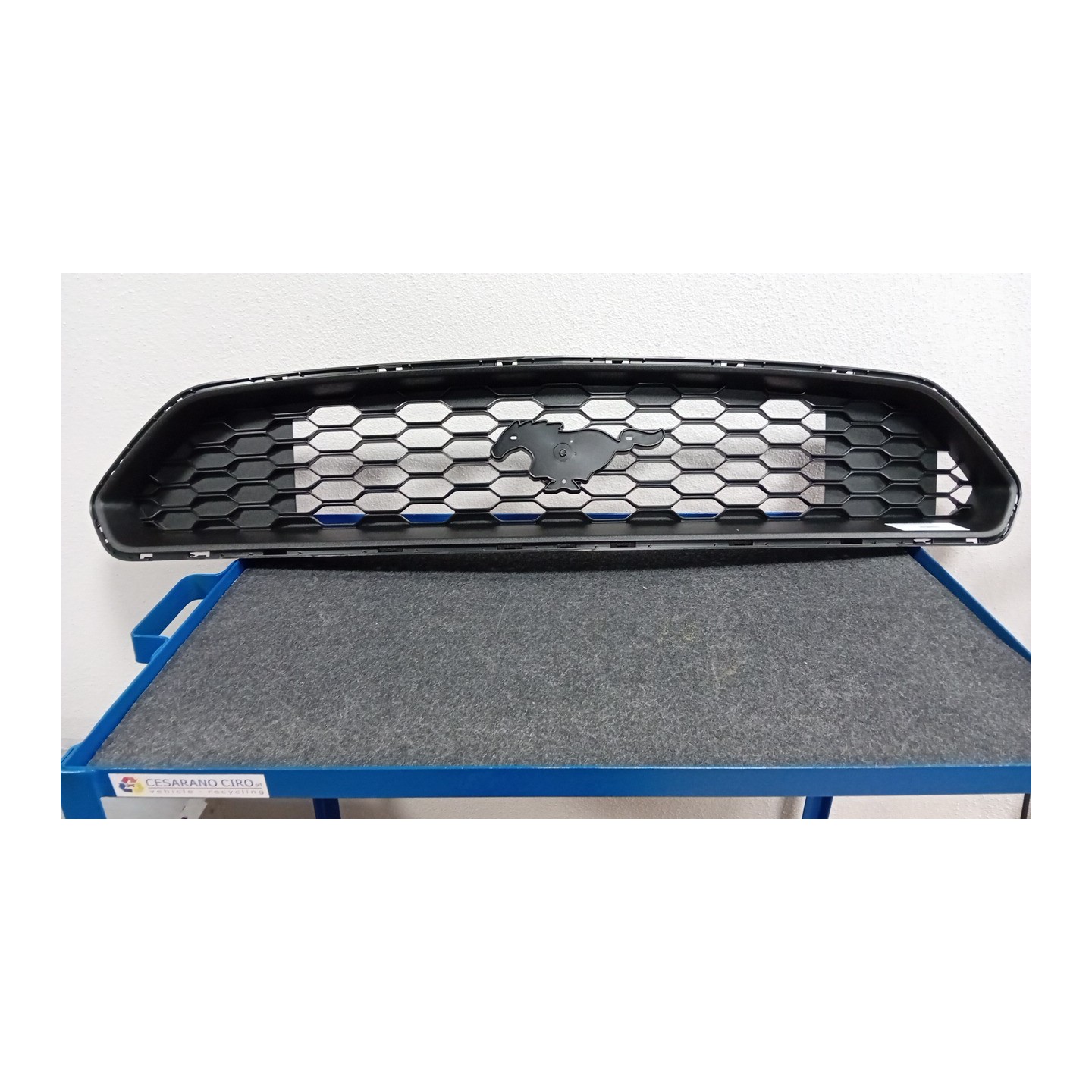 GRIGLIA C/SAGOM. IN TINTA 012 FORD MUSTANG (CZG) (01/15-)  5348716