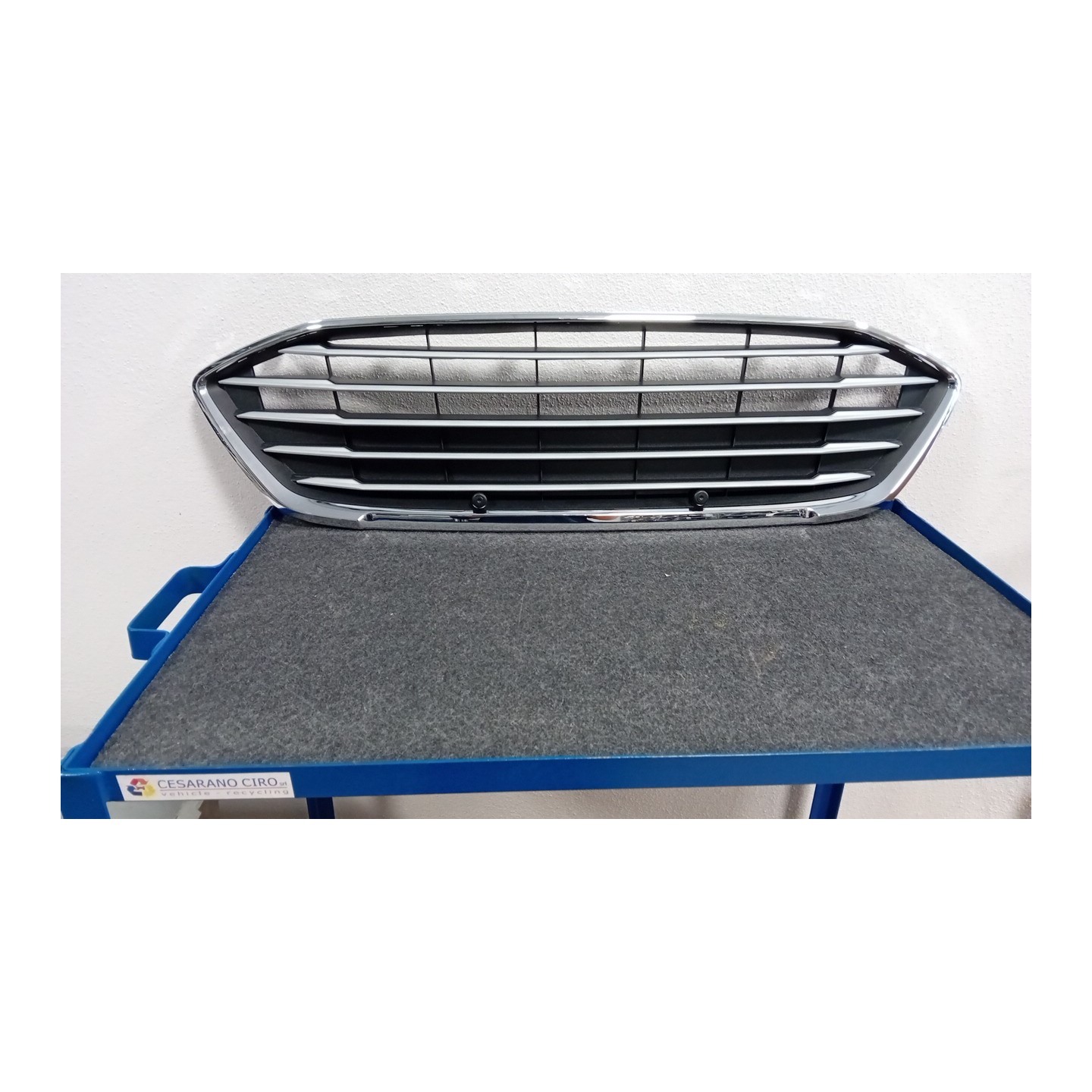 GRIGLIA 024 FORD FOCUS (CGE) (04/18-)  2292763
