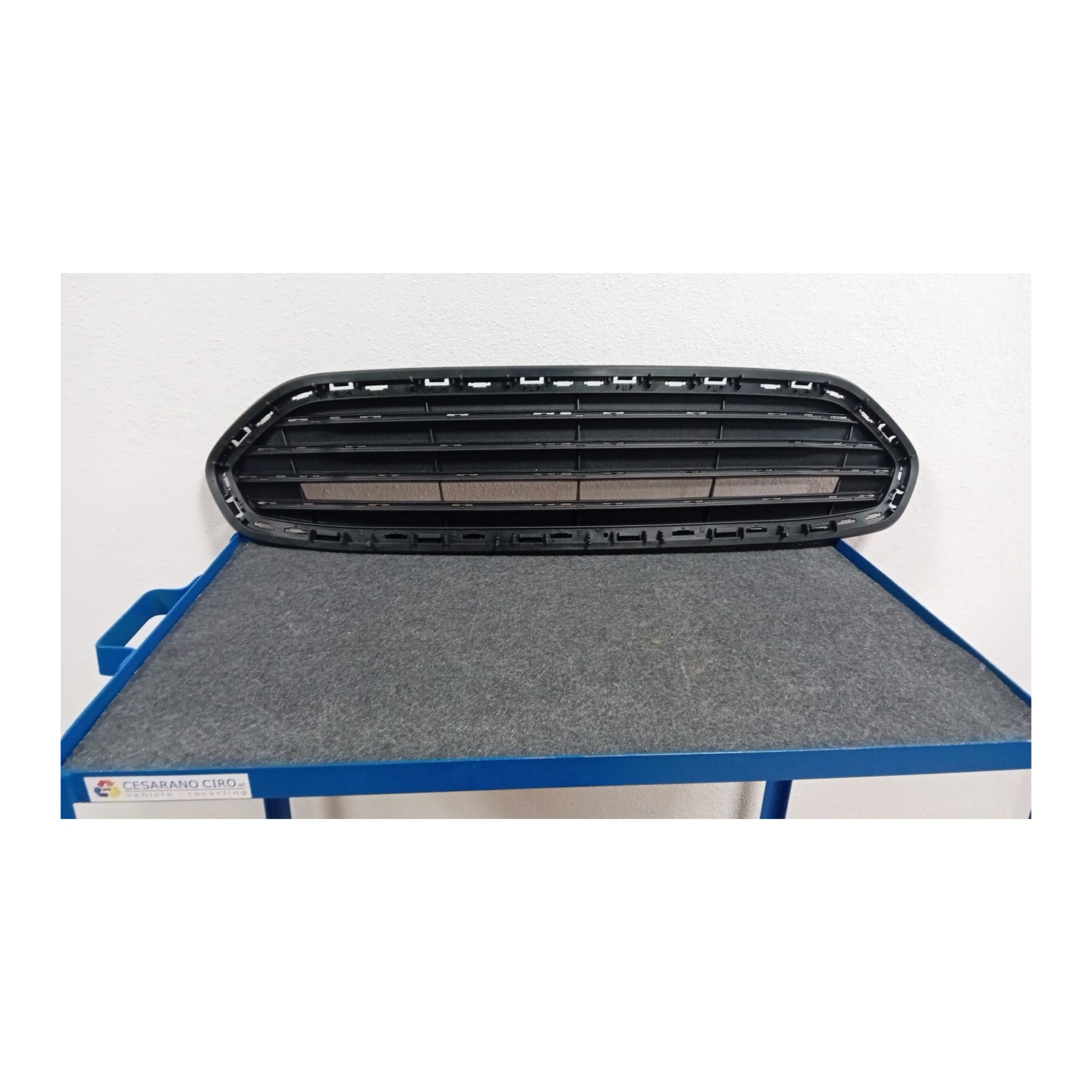 GRIGLIA PARAURTI ANT. 121 FORD KA+ (CDU) (04/16-05/19)  2096051