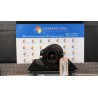 AMMORTIZZATORE ANT. DX. 059 RENAULT SCENIC 2A SERIE (06/03-08/09) F9QD8 8200851837