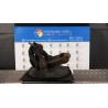 MONTANTE SOSP. ANT. DX. 189 FIAT DUCATO (2J) (06/06-03/12) F1CE0441A 1357005080