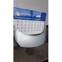 COFANO ANT. 179 RENAULT SCENIC 2A SERIE (06/03-08/09) F9QD8 7751474289