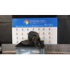 AMMORTIZZATORE ANT. SX. 122 LANCIA DELTA (TH) (06/08-03/11) 198A2000 50710405