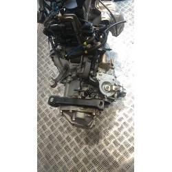 CAMBIO COMPL. RAPP 13/55 080 FIAT PANDA 1A SERIE (03/92-03/04) 1170A1046 46451149