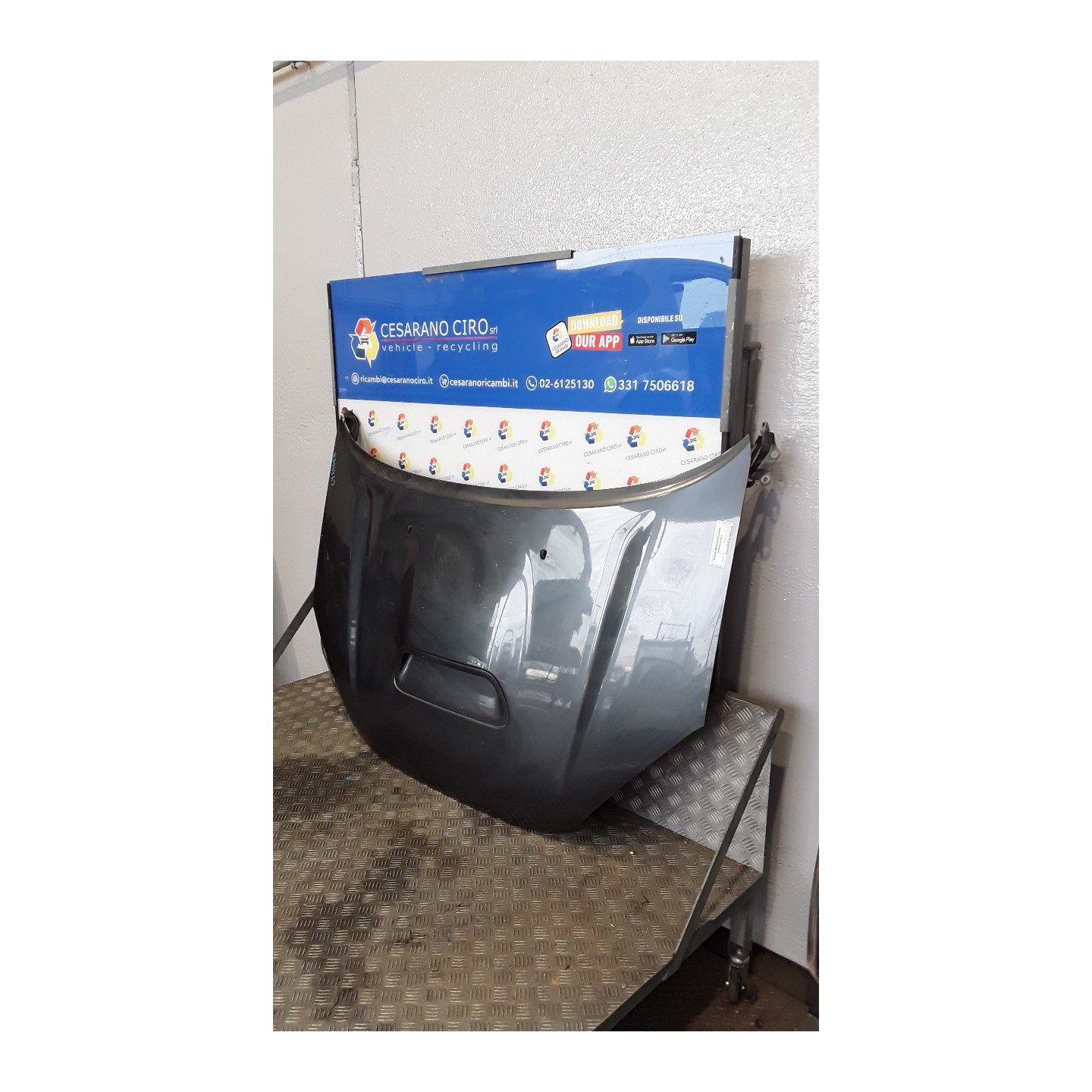 COFANO ANT. 040 TOYOTA RAV 4 2A SERIE (09/00-01/06) 1CDFTV 5330142050
