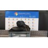 AMMORTIZZATORE ANT. DX. 055 TOYOTA YARIS (09/11-02/15) 1NZFXE 485100D800