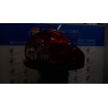 FANALE POST. SX. 089 JAGUAR X-TYPE (02/01-05/10) BG C2S40488