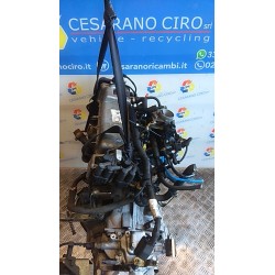 MOTORE SEMICOMPL. 088 FIAT PANDA (2Q) (09/03-12/10) 187A1000 71739179