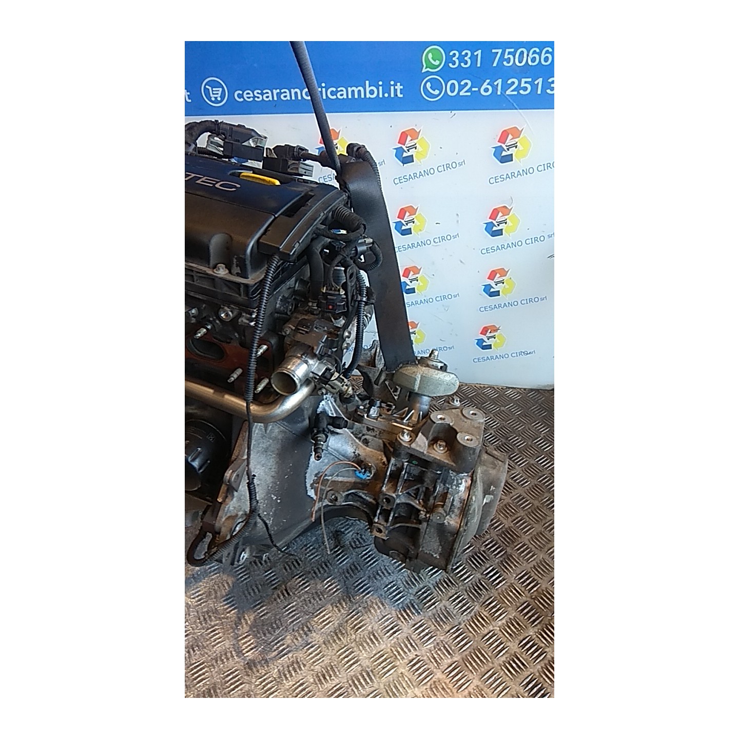 CAMBIO COMPL. 054 OPEL ZAFIRA (A05) (06/05-) Z16XE1 55565113