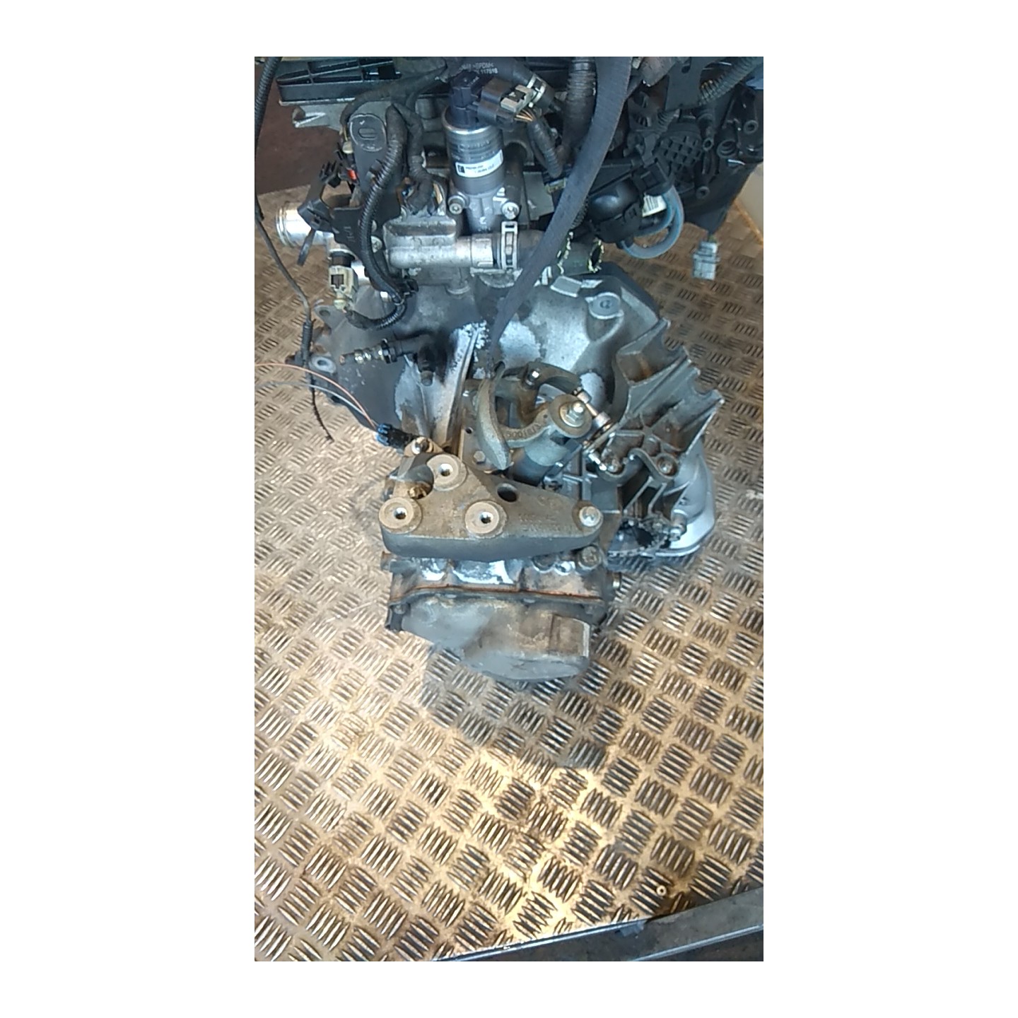 CAMBIO COMPL. 054 OPEL ZAFIRA (A05) (06/05-) Z16XE1 55565113