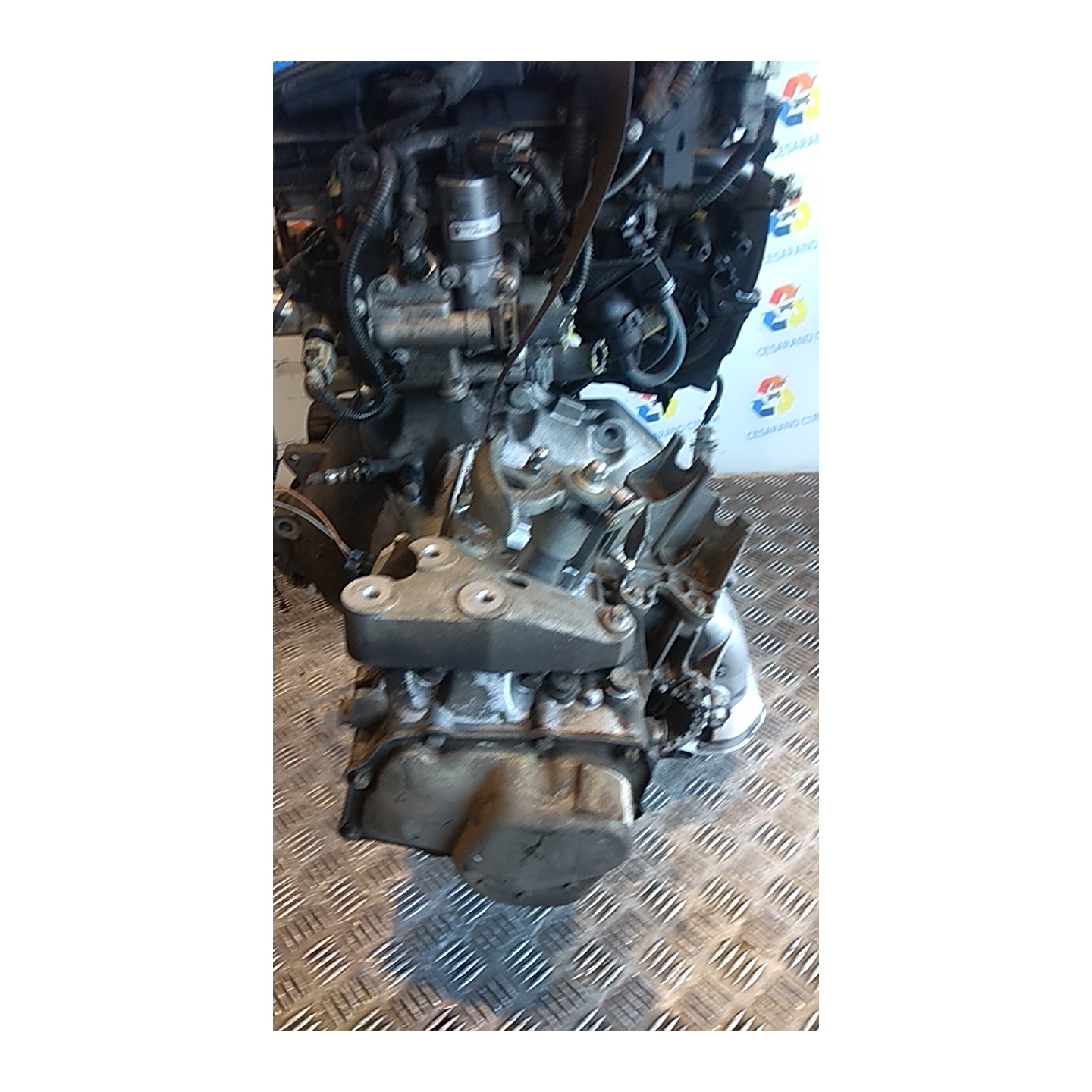 CAMBIO COMPL. 054 OPEL ZAFIRA (A05) (06/05-) Z16XE1 55565113