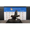 MONTANTE SOSP. ANT. DX. 088 FORD FOCUS (CB8) (02/11-11/15) PNDA 1702854