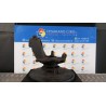 MONTANTE SOSP. ANT. DX. 088 FORD FOCUS (CB8) (02/11-11/15) PNDA 1702854