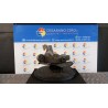 MONTANTE SOSP. ANT. SX. 056 TOYOTA PRIUS 3A SERIE (06/09-) 2ZRFXE 4320247030