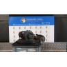 AMMORTIZZATORE ANT. SX. 078 OPEL MERIVA (S10) (04/10-) A14NEL 93168544