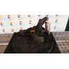 MONTANTE SOSP. ANT. DX. 007 FIAT PANDA (3U) (09/09-09/11) 169A4000 51857220