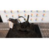 MONTANTE SOSP. ANT. DX. 005 FIAT PANDA (2Q) (09/03-12/10) 188A4000 51857220