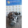 CAMBIO COMPL. 025 CITROEN C4 PICASSO (09/06-08/13) 5FW 223143