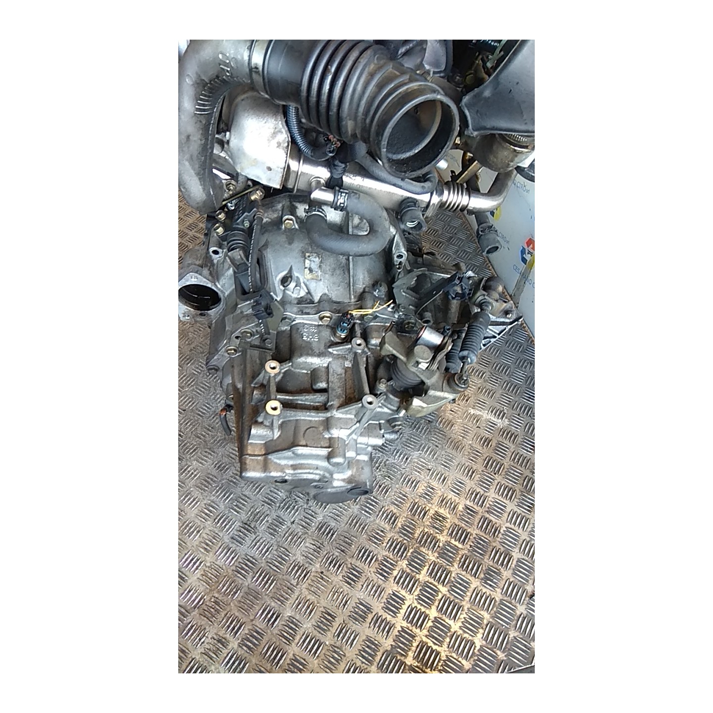 CAMBIO COMPL. 039 NISSAN X-TRAIL (T30) (10/03-08/07) YD22 32010EQ06C