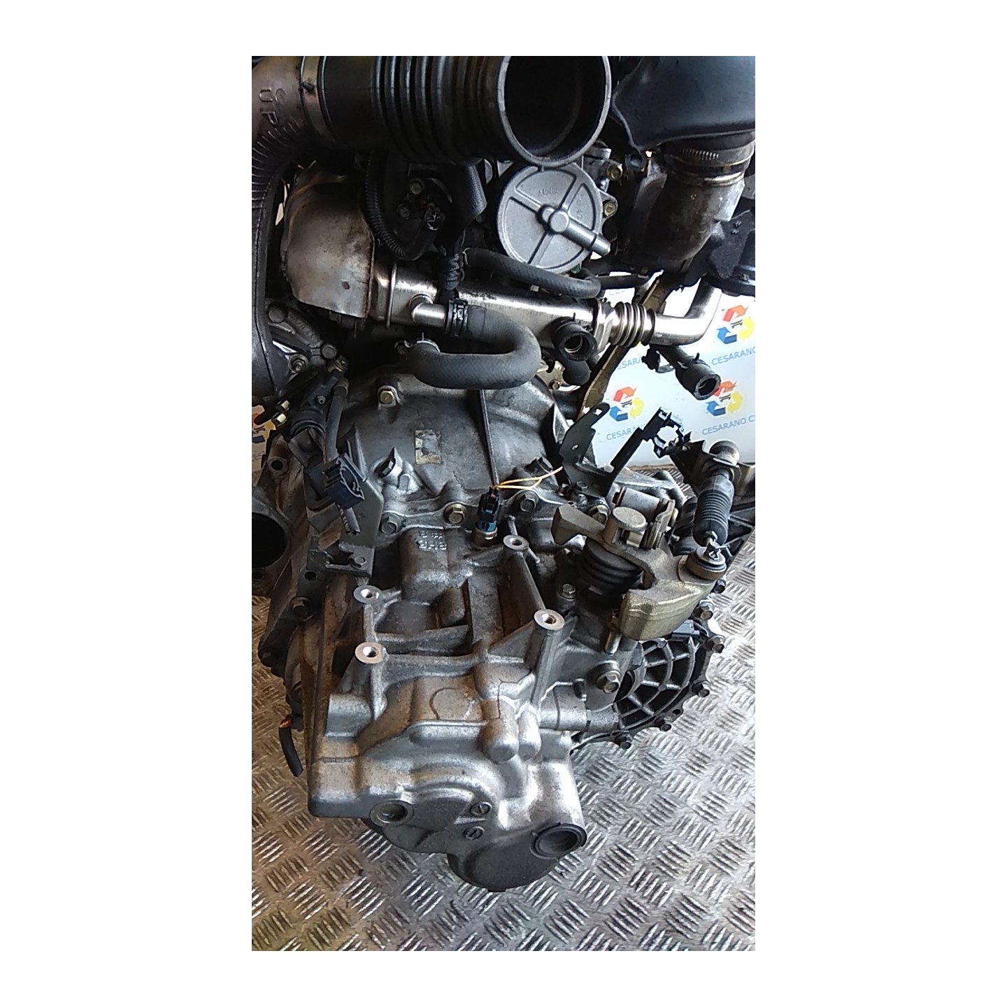 CAMBIO COMPL. 039 NISSAN X-TRAIL (T30) (10/03-08/07) YD22 32010EQ06C