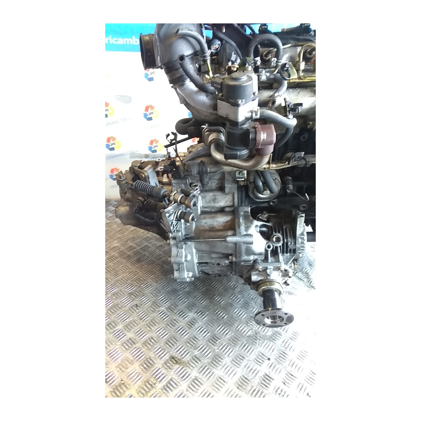 CAMBIO COMPL. 039 NISSAN X-TRAIL (T30) (10/03-08/07) YD22 32010EQ06C