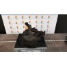MONTANTE SOSP. ANT. SX. 027 LAND ROVER FREELANDER (08/02-10/06) 204D3 RUB000050