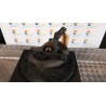 MONTANTE SOSP. ANT. DX. 091 OPEL AGILA (H08) (01/08-) K12B 93195056