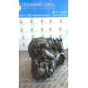 CAMBIO COMPL. 112 FORD FOCUS (CAP) (11/04-06/08) HHDA 1481206