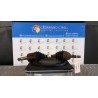 SEMIALBERO ANT. COMPL. SX. 028 OPEL ASTRA (A04) (01/04-03/11) Z19DT 24462251