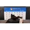 MONTANTE SOSP. ANT. DX 011 RENAULT LAGUNA 2A SERIE (03/05-09/07) K4M57 NB1758019059005DX