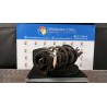 AMMORTIZZATORE ANT. DX. 014 NISSAN QASHQAI (J10E/JJ10E) (02/07-12 K9K E4302JD04A