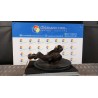 MONTANTE SOSP. ANT. SX. 032 RENAULT KANGOO (01/08-05/13) K9KD8 8200755585